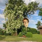 Affittacamere Fruehstueckspension Herzog Zu Laah Ansfelden