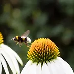 Fruehstueckspension Herzog Zu Laah
