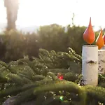 Fruehstueckspension Herzog Zu Laah Affittacamere Ansfelden