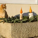 Fruehstueckspension Herzog Zu Laah Affittacamere