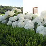 Affittacamere Fruehstueckspension Herzog Zu Laah Ansfelden