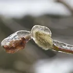 Fruehstueckspension Herzog Zu Laah 4*