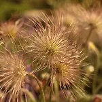 Fruehstueckspension Herzog Zu Laah Affittacamere