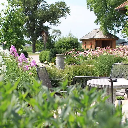 Fruehstueckspension Herzog Zu Laah Ansfelden