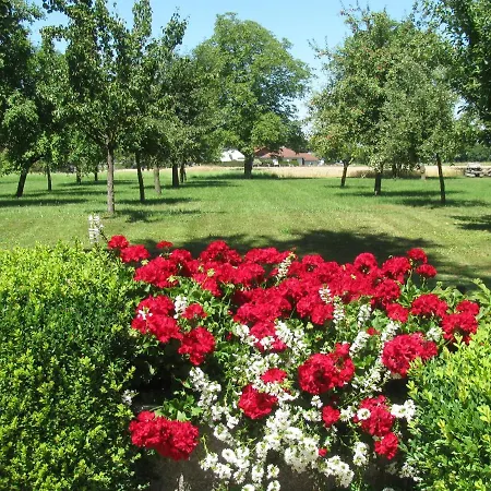 Fruehstueckspension Herzog Zu Laah Gæstehus Ansfelden