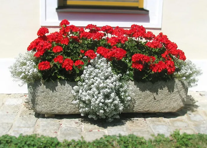 Maison d'hôtes Fruehstueckspension Herzog Zu Laah