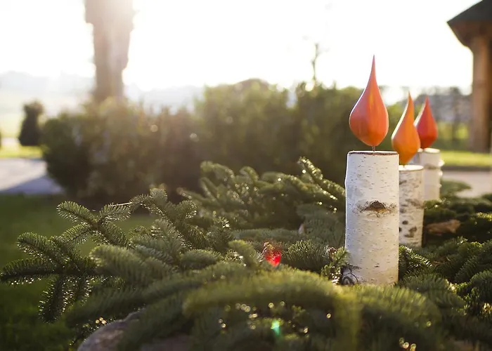 Fruehstueckspension Herzog Zu Laah Maison d'hôtes Ansfelden