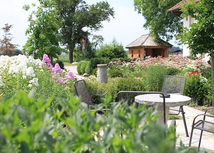 Fruehstueckspension Herzog Zu Laah Ansfelden