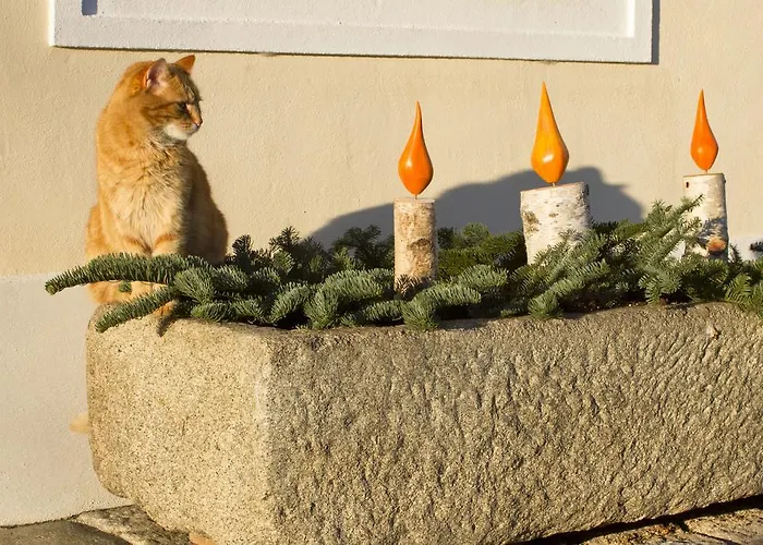 Fruehstueckspension Herzog Zu Laah Maison d'hôtes