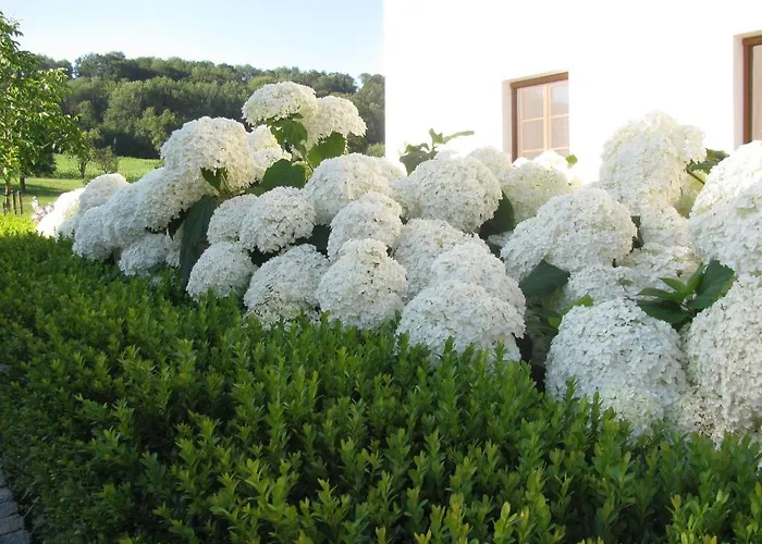 Maison d'hôtes Fruehstueckspension Herzog Zu Laah Ansfelden
