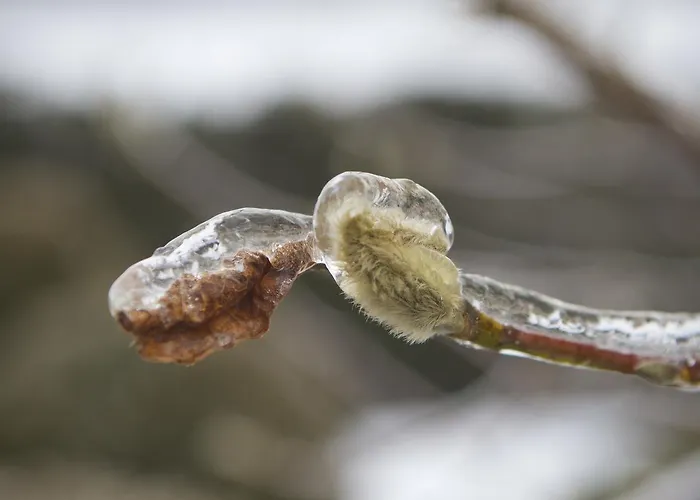 Fruehstueckspension Herzog Zu Laah 4*