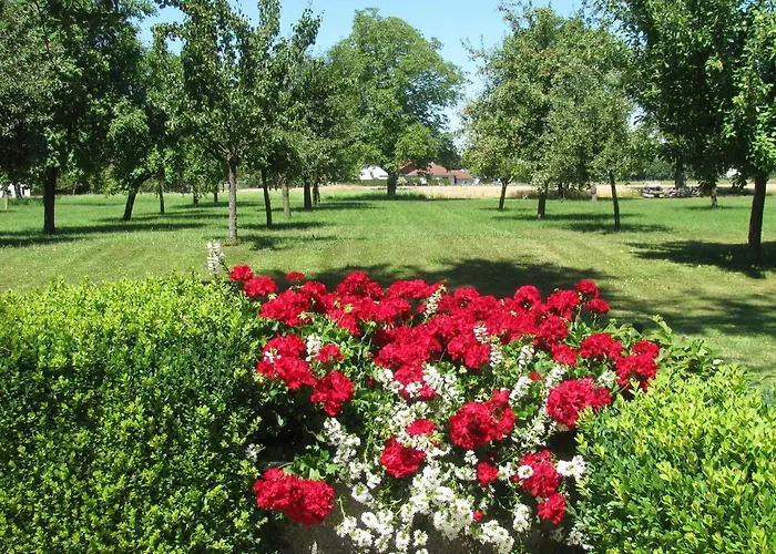 Fruehstueckspension Herzog Zu Laah Gasthuis Ansfelden