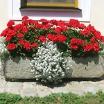 Casa de hóspedes Fruehstueckspension Herzog Zu Laah