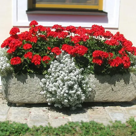 Konukevi Fruehstueckspension Herzog Zu Laah