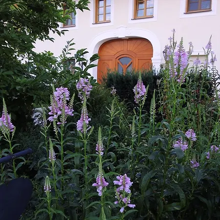 Fruehstueckspension Herzog Zu Laah Ansfelden