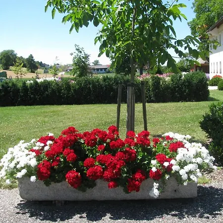 Fruehstueckspension Herzog Zu Laah Konukevi Ansfelden