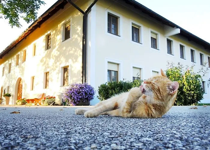 Vendégház Fruehstueckspension Herzog Zu Laah Ansfelden