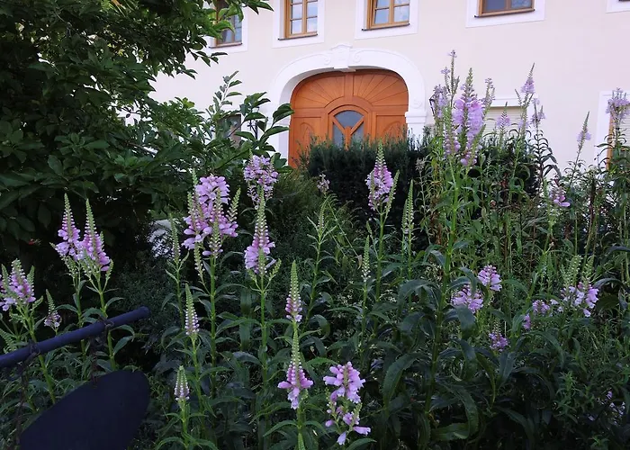 Fruehstueckspension Herzog Zu Laah Ansfelden